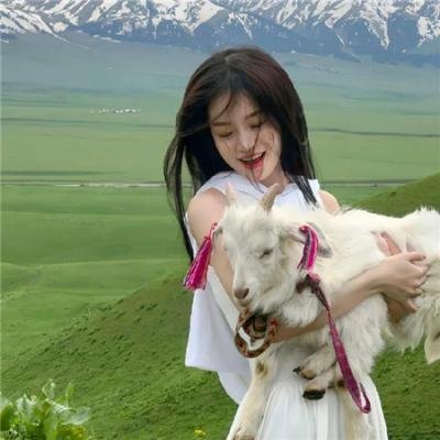 约瑟夫·钱伯斯的正直